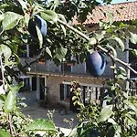 Tenuta San Giuseppe Venkovský dům Cossano Belbo