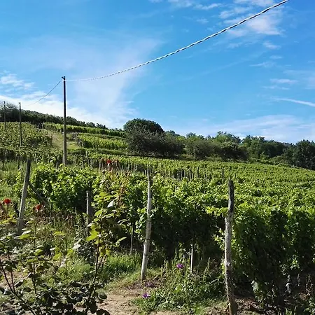 Tenuta San Giuseppe Venkovský dům