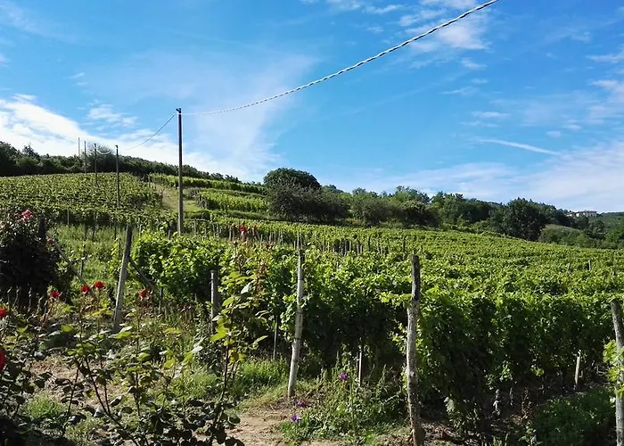 Tenuta San Giuseppe カントリーハウス